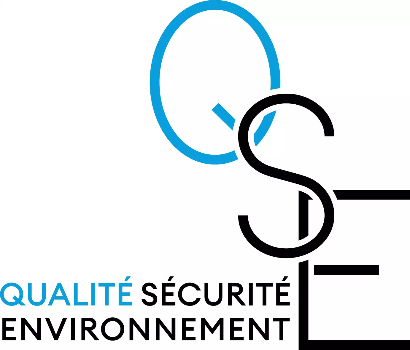 QSE_2021_logo-Q